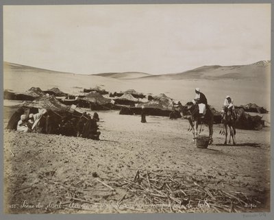 Camp with Tents and Camels in the Desert of (Presumably) Egypt by Maison Bonfils