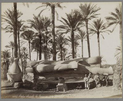 Reclining Statue of Ramses II in Memphis, with a Boy and a Donkey in the Foreground by Maison Bonfils