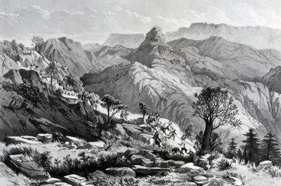 On the march near Dongolo, engraved by James Ferguson, 1868 by Major A.G.F. Hogg