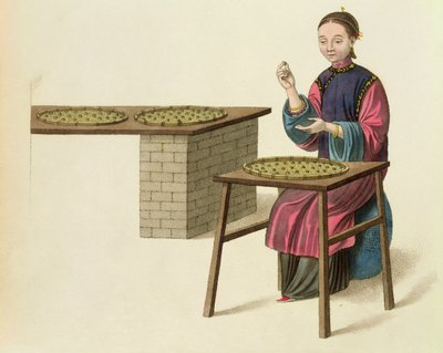 A Woman Preparing Tea, plate 21 from 
