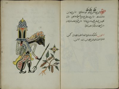 Wukon Jawa, MS 41 p.34, image 17 by Malay Malay