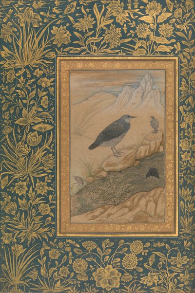 Diving Dipper and Other Birds, Folio from the Shah Jahan Album by Mansur