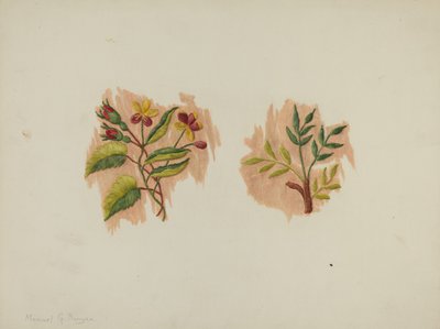 Silk Petticoat Fragment, c. 1939 by Manuel G. Runyan
