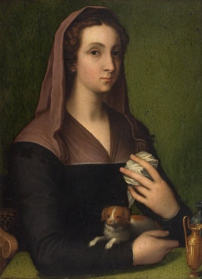 A portrait of a lady by Marcello (follower of) Venusti
