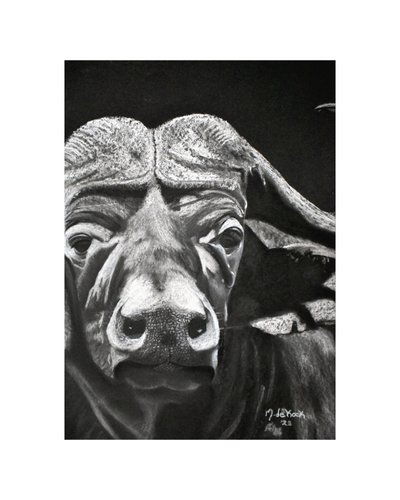 Buffalo by Marchelle de Kock