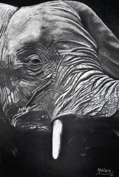 Majestic Elephant Portrait by Marchelle de Kock