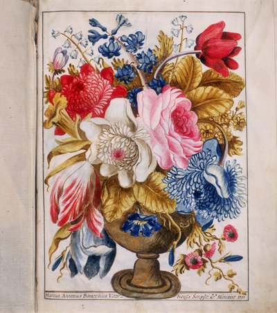 Illumination from the 