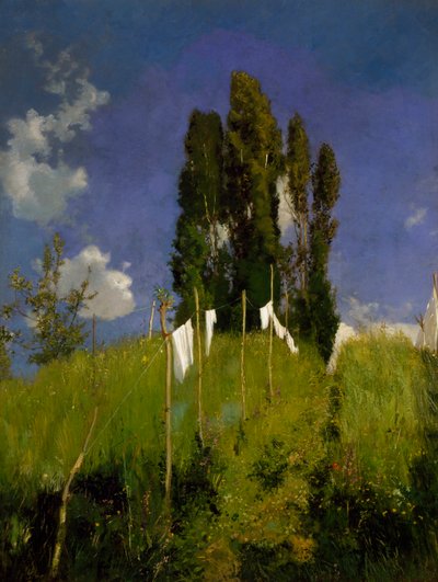 Meadow of laundry by Marco Calderini