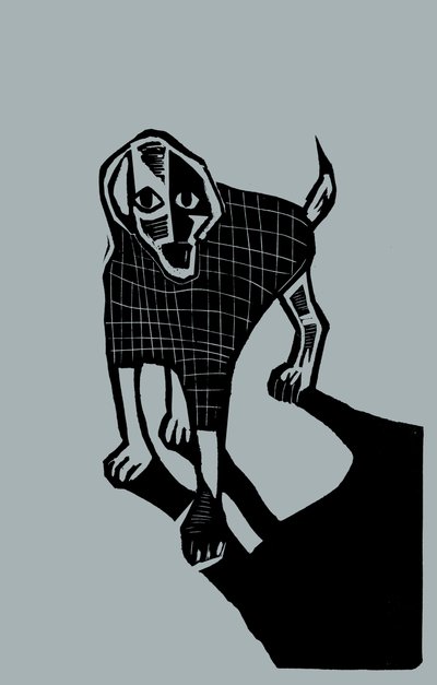 Dog, 2023 by Marco Campedelli