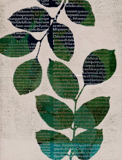Leaves by Marco Campedelli
