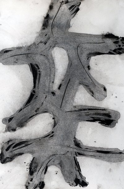 Ramas, 2014 by Marco Campedelli