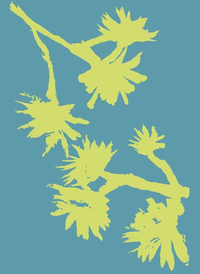Succulent 2, 2022 by Marco Campedelli
