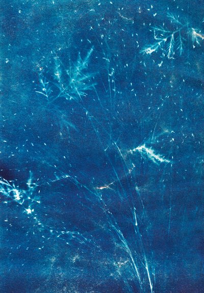 Untitled, 2023 by Marco Campedelli