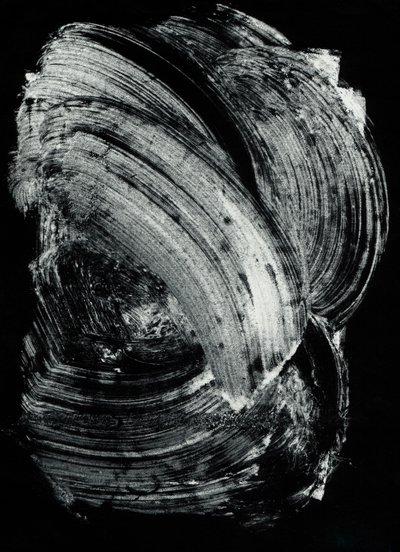 Wagner_148 by Marco Campedelli