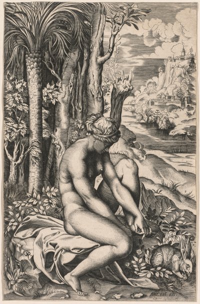 Venus Wounded by a Rose