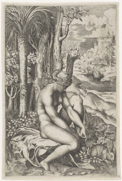 Venus Wounded by the Thorn of a Rose by Marco Dente