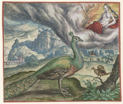 Fable of the Peacock and the Nightingale by Marcus Gheeraerts (I)