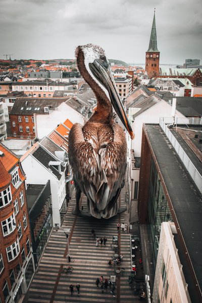 Giant Pelican City by Marcus Hennen