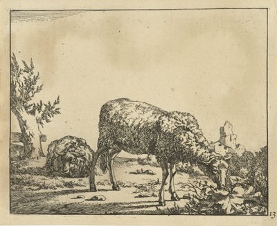 Grazing Sheep and Lying Sheep by Fence (Sheep) by Marcus de Bye