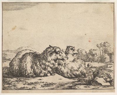 Sheep, from a set of 16 plates by Marcus de Bye