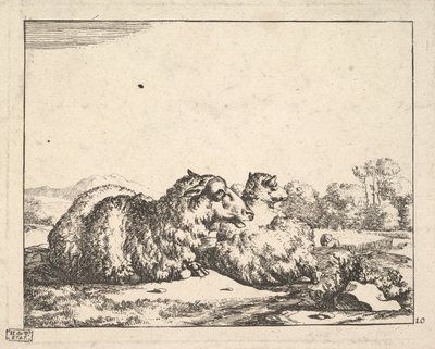 Sheep, from a set of 16 plates, 1664 by Marcus de Bye