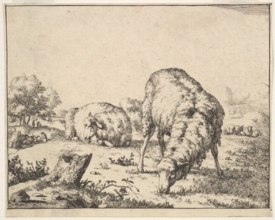 Sheep, from a set of 16 plates by Marcus de Bye