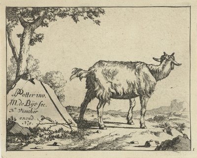 Standing Goat Seen from Behind by Marcus de Bye