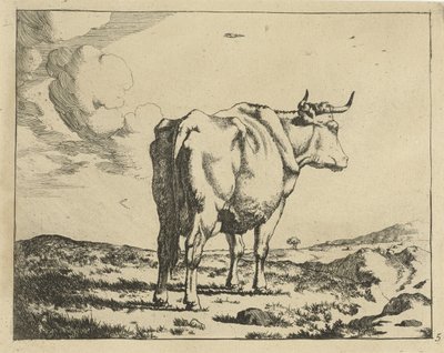 Standing Cow Seen from Behind (Cattle) by Marcus de Bye