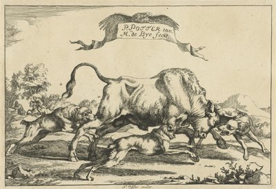 Bull Attacked by Three Hunting Dogs (Hunting Dogs) by Marcus de Bye