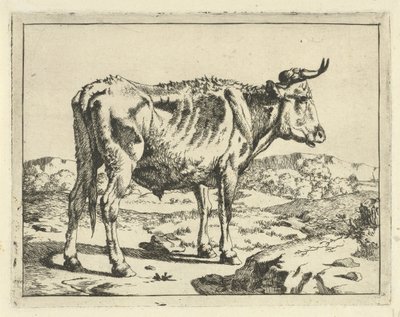 Bull Standing by Rock Cattle and Pigs (series title) by Marcus de Bye