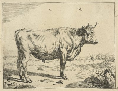Bull Standing to the Right with Birds by Marcus de Bye