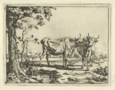 Two Cows Licking Each Other (Cattle and Pigs) by Marcus de Bye