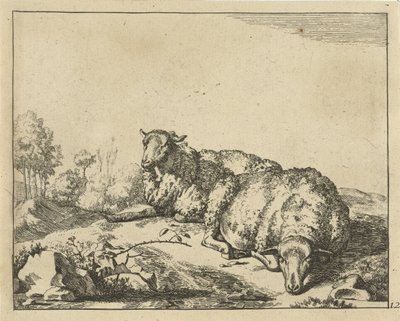 Two Sheep Lying by a Bramble by Marcus de Bye