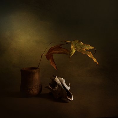 Dark Autumn Still Life by Margaret Halaby