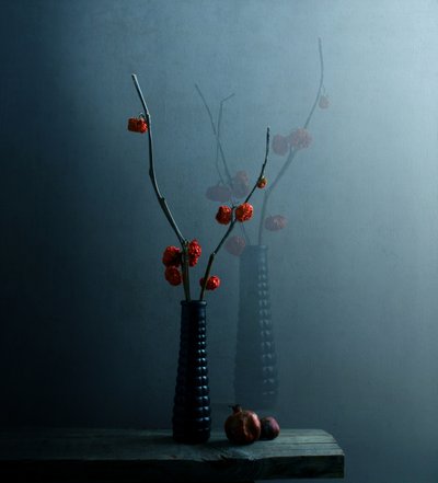 Moody Botanical Still Life by Margaret Halaby