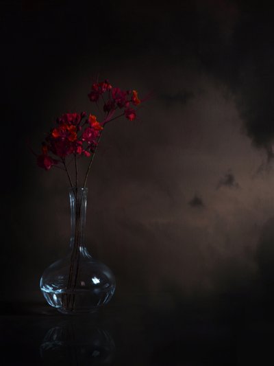 Moody Red Flowers by Margaret Halaby
