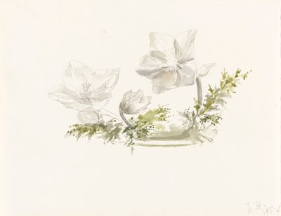 Study of a Flower Arrangement by Margaret Louisa Herschel