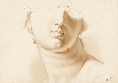 Study of the Lower Half of a Human Face, Possibly a Statue by Margaret Louisa Herschel