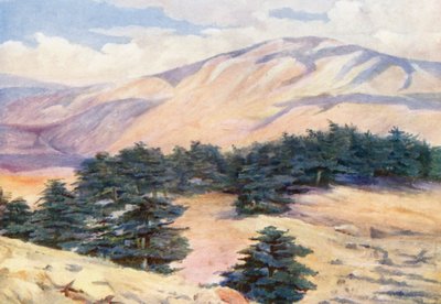 General View of the Cedars and Dehr el Kodib by Margaret Thomas