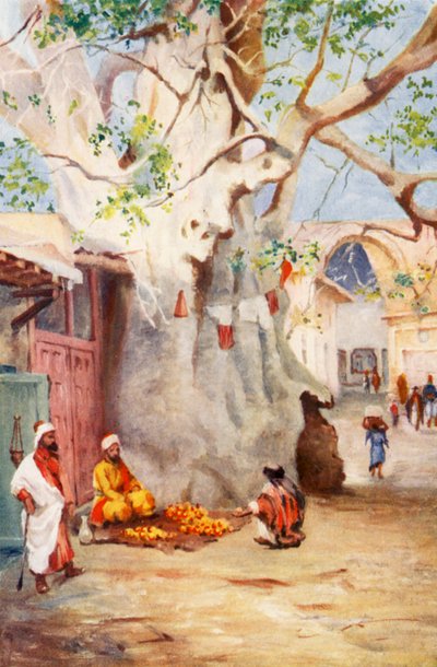 Great Plantain in the Bazaar, Damascus by Margaret Thomas