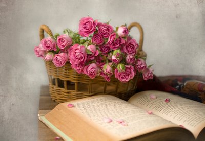 Cozy Reading With Roses by Margareth Perfoncio