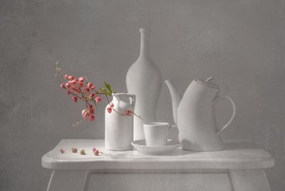 Delicate Pink Still Life by Margareth Perfoncio