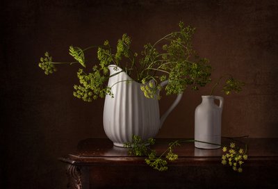 Dill Flowers Still Life by Margareth Perfoncio