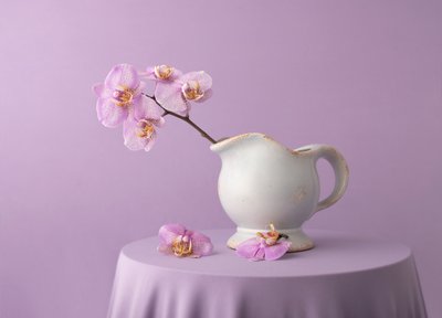 Elegant Lavender Orchids by Margareth Perfoncio