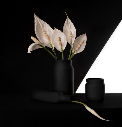 Elegant Peace Lily Contrast by Margareth Perfoncio