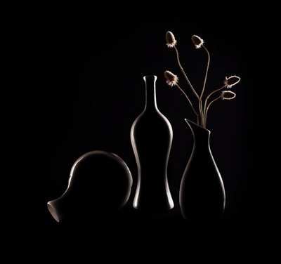 Elegant Still Life Silhouettes by Margareth Perfoncio