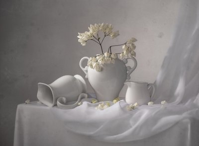 Elegant White Still Life by Margareth Perfoncio