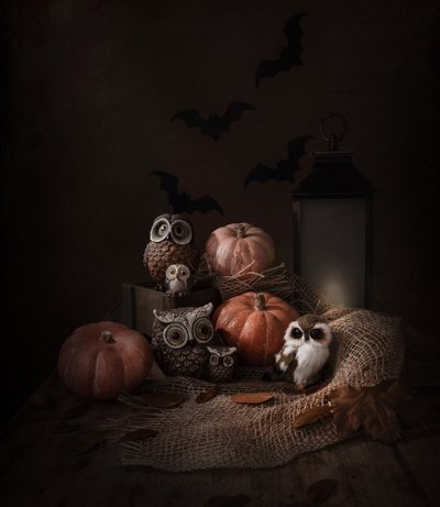 Halloween Owls and Pumpkins by Margareth Perfoncio