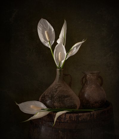 Moody Peace Lilies by Margareth Perfoncio
