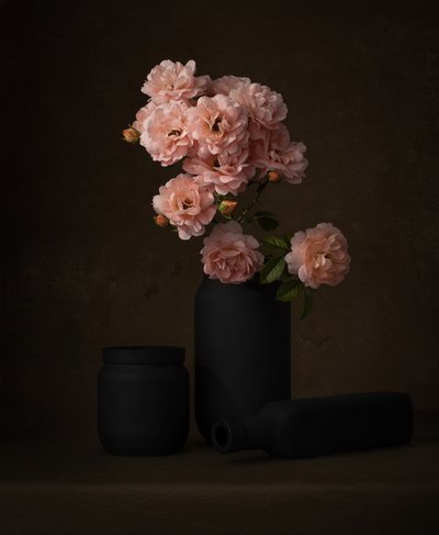 Moody Pink Roses by Margareth Perfoncio